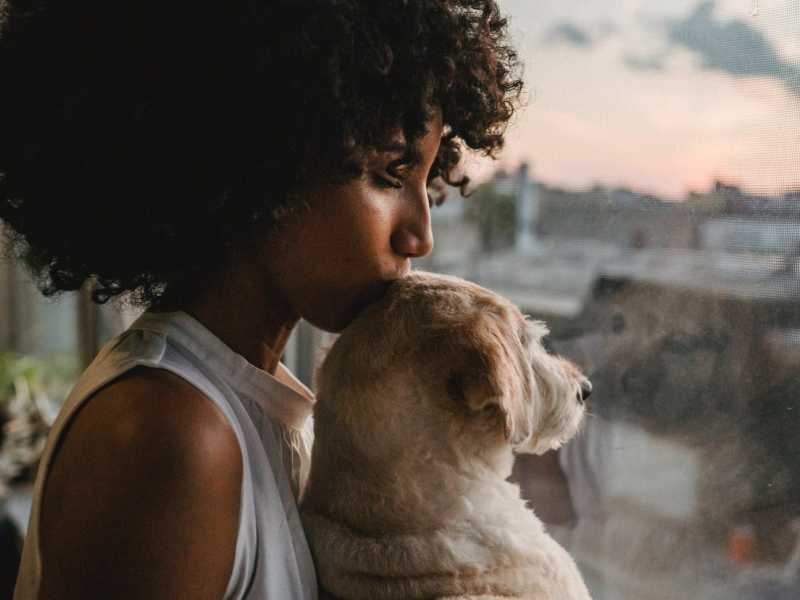 The Art of Connection